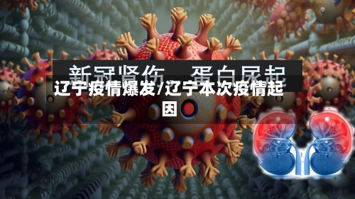 辽宁疫情爆发/辽宁本次疫情起因-第1张图片