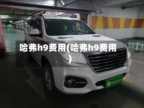 哈弗h9费用(哈弗h9费用)-第1张图片