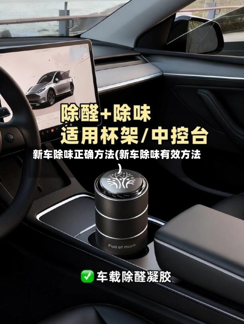 新车除味正确方法(新车除味有效方法)-第1张图片