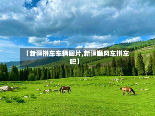 【新疆拼车车辆图片,新疆顺风车拼车吧】-第1张图片