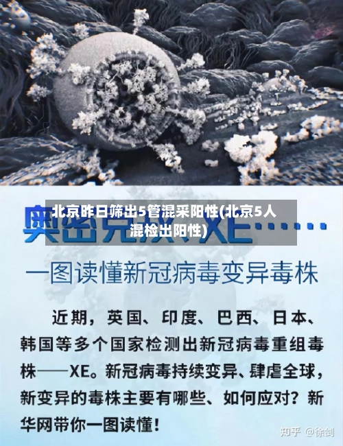 北京昨日筛出5管混采阳性(北京5人混检出阳性)-第1张图片
