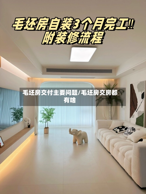 毛坯房交付主要问题/毛坯房交房都有啥-第1张图片