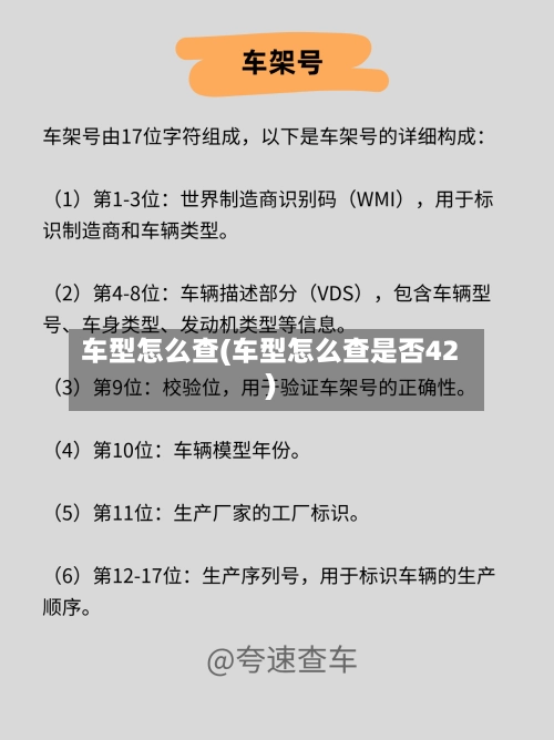 车型怎么查(车型怎么查是否42)-第1张图片