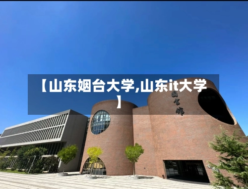 【山东姻台大学,山东it大学】-第3张图片