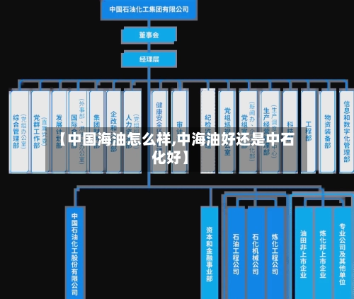 【中国海油怎么样,中海油好还是中石化好】-第1张图片