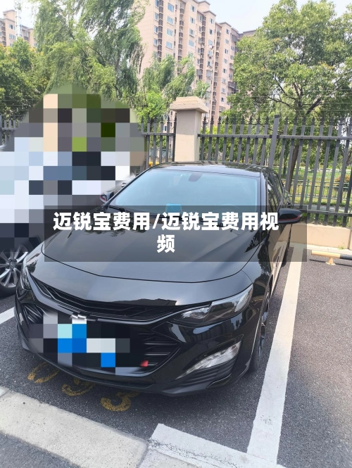 迈锐宝费用/迈锐宝费用视频-第1张图片