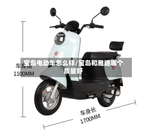 宝岛电动车怎么样/宝岛和雅迪哪个质量好-第1张图片