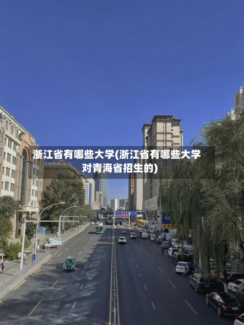 浙江省有哪些大学(浙江省有哪些大学对青海省招生的)-第1张图片