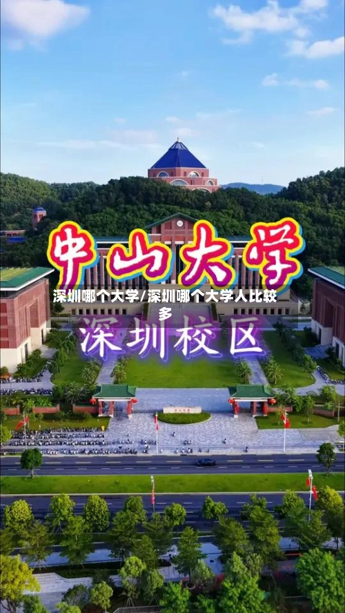 深圳哪个大学/深圳哪个大学人比较多-第1张图片