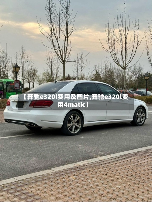 【奔驰e320l费用及图片,奔驰e320l费用4matic】-第1张图片