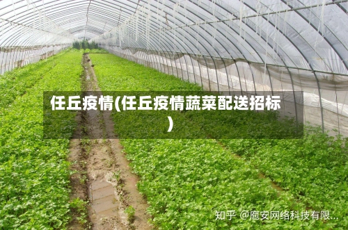任丘疫情(任丘疫情蔬菜配送招标)-第3张图片