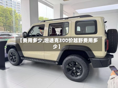【费用多少,坦途克300价越野费用多少】-第2张图片