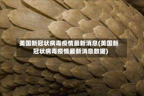 美国新冠状病毒疫情最新消息(美国新冠状病毒疫情最新消息数据)-第3张图片