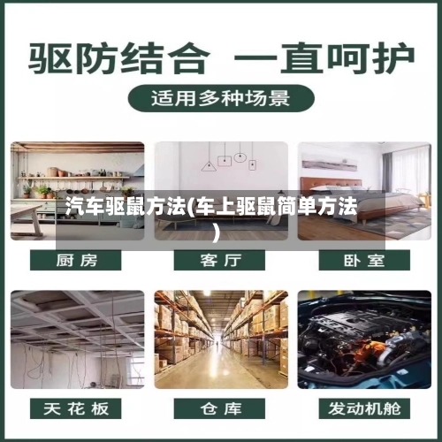 汽车驱鼠方法(车上驱鼠简单方法)-第1张图片
