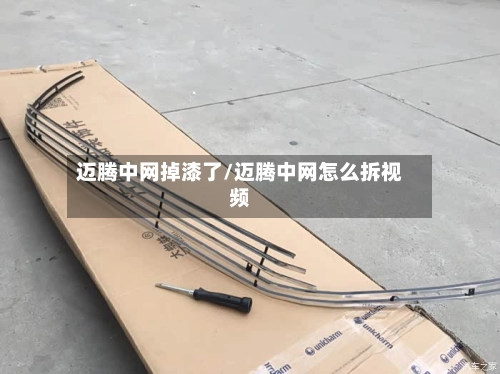 迈腾中网掉漆了/迈腾中网怎么拆视频-第1张图片