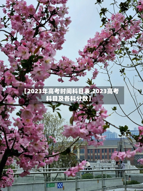 【2023年高考时间科目表,2023高考科目及各科分数】-第1张图片