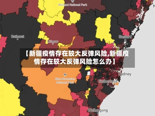 【新疆疫情存在较大反弹风险,新疆疫情存在较大反弹风险怎么办】-第1张图片
