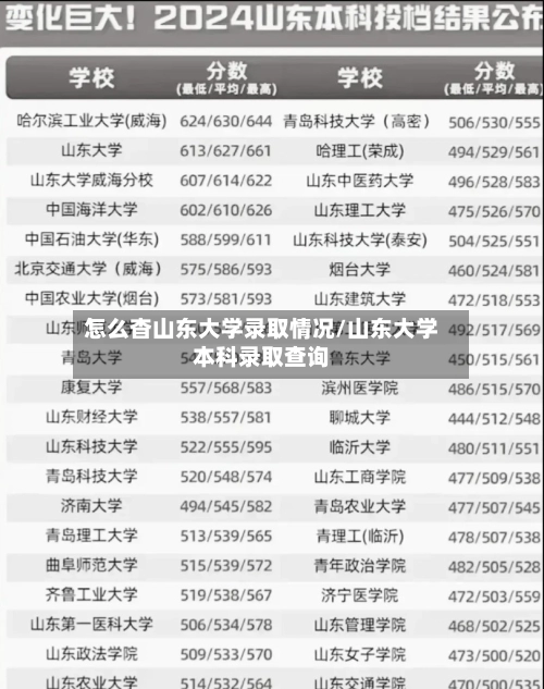 怎么杳山东大学录取情况/山东大学本科录取查询-第1张图片