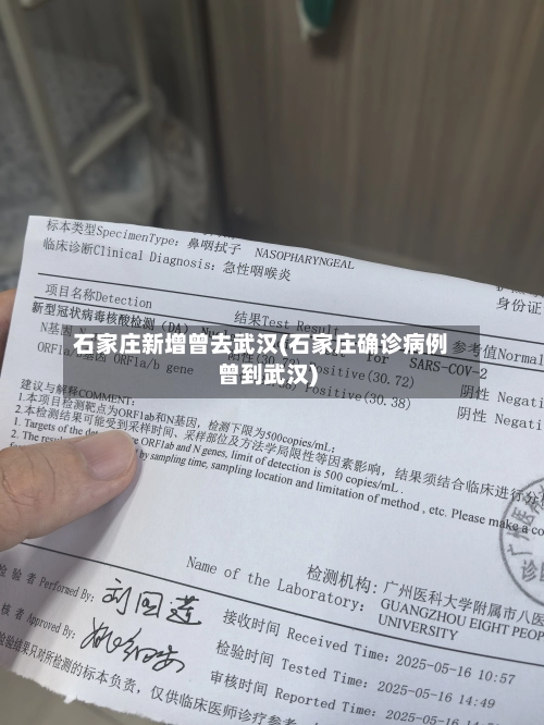 石家庄新增曾去武汉(石家庄确诊病例曾到武汉)-第1张图片