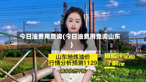 今日油费用查询(今日油费用查询山东)-第1张图片