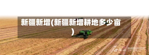 新疆新增(新疆新增耕地多少亩)-第3张图片