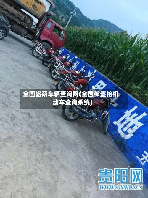 全国盗窃车辆查询网(全国被盗抢机动车查询系统)-第1张图片