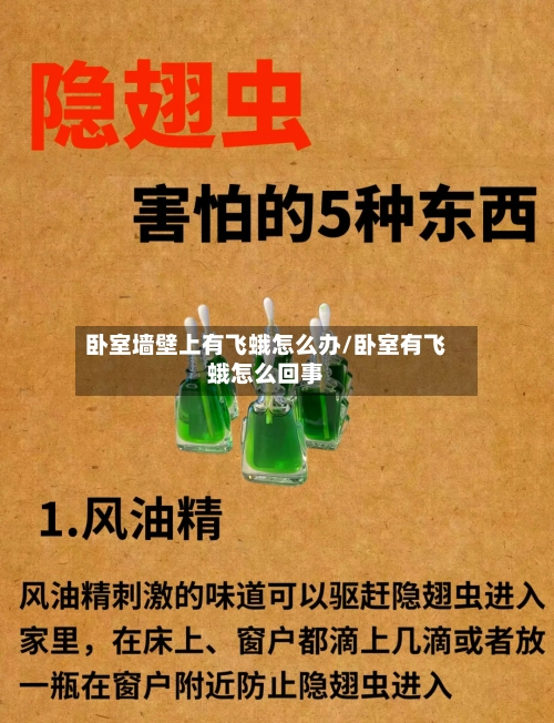 卧室墙壁上有飞蛾怎么办/卧室有飞蛾怎么回事-第2张图片
