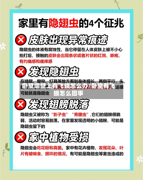 卧室墙壁上有飞蛾怎么办/卧室有飞蛾怎么回事-第1张图片