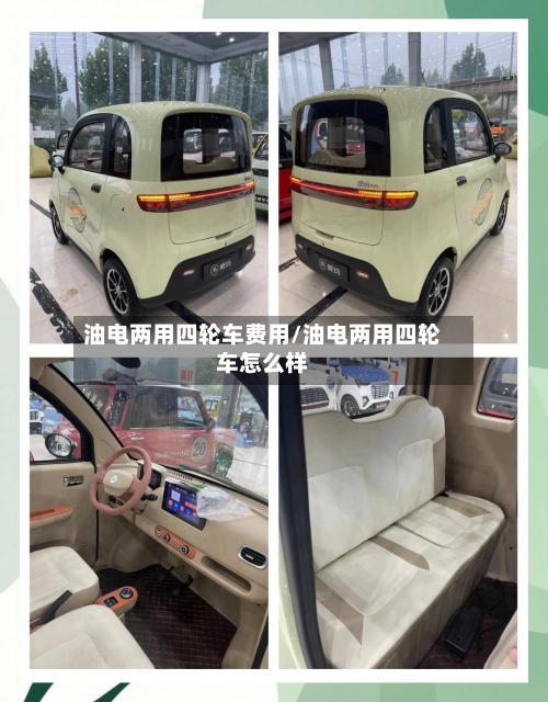 油电两用四轮车费用/油电两用四轮车怎么样-第2张图片