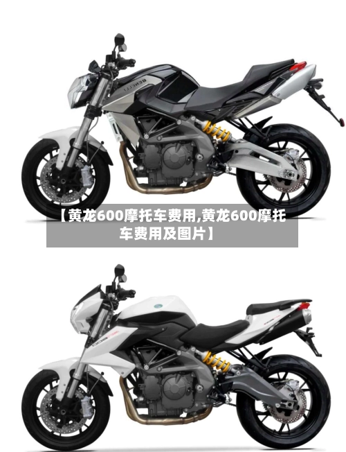 【黄龙600摩托车费用,黄龙600摩托车费用及图片】-第1张图片