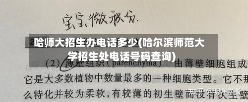 哈师大招生办电话多少(哈尔滨师范大学招生处电话号码查询)-第1张图片