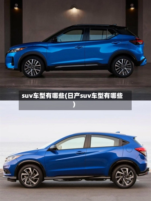 suv车型有哪些(日产suv车型有哪些)-第1张图片