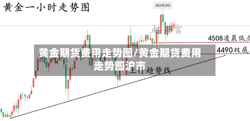 黄金期货费用走势图/黄金期货费用走势图沪市-第1张图片