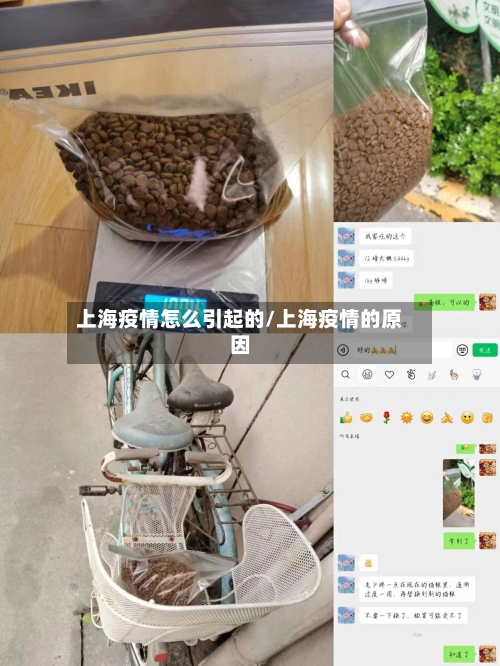 上海疫情怎么引起的/上海疫情的原因-第2张图片
