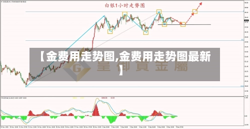 【金费用走势图,金费用走势图最新】-第1张图片