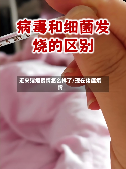 近来猪瘟疫情怎么样了/现在猪瘟疫情-第1张图片