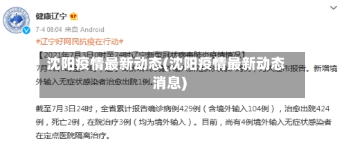 沈阳疫情最新动态(沈阳疫情最新动态消息)