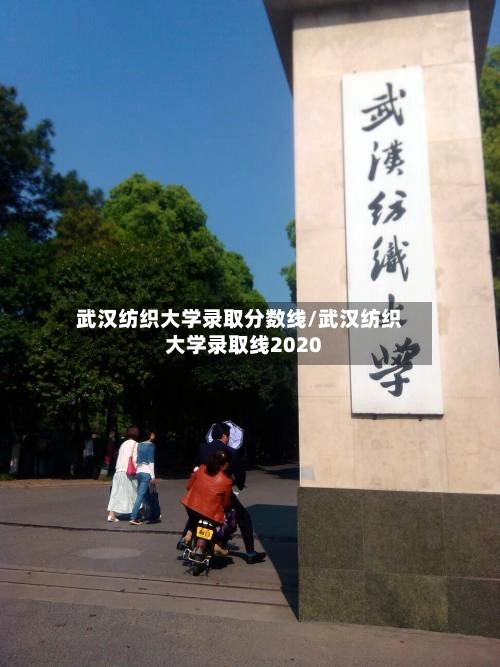 武汉纺织大学录取分数线/武汉纺织大学录取线2020-第1张图片