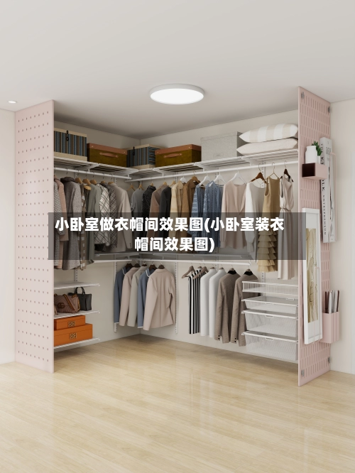 小卧室做衣帽间效果图(小卧室装衣帽间效果图)-第1张图片