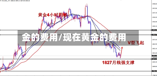 金的费用/现在黄金的费用-第1张图片