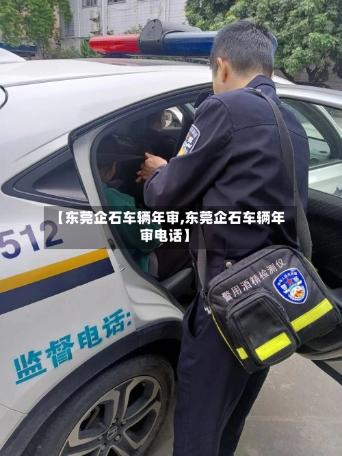 【东莞企石车辆年审,东莞企石车辆年审电话】-第1张图片