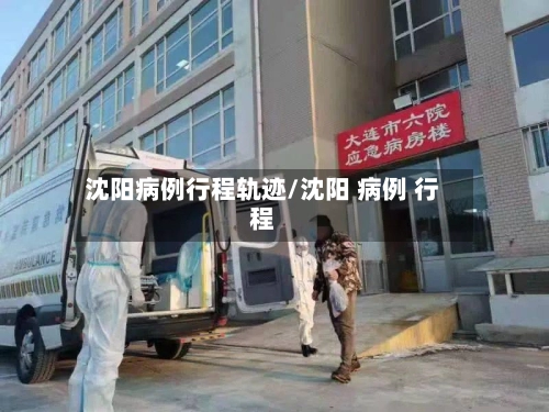沈阳病例行程轨迹/沈阳 病例 行程-第1张图片