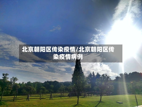 北京朝阳区传染疫情/北京朝阳区传染疫情病例-第2张图片