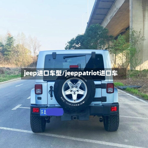 jeep进口车型/jeeppatriot进口车-第2张图片