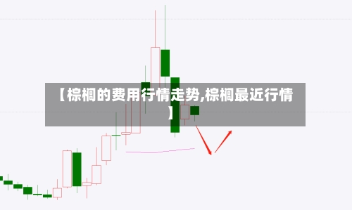 【棕榈的费用行情走势,棕榈最近行情】-第1张图片