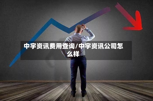 中宇资讯费用查询/中宇资讯公司怎么样-第1张图片
