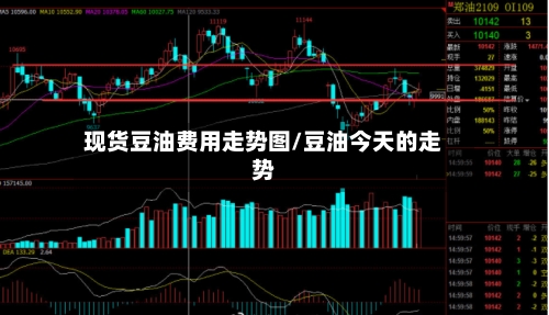 现货豆油费用走势图/豆油今天的走势-第2张图片