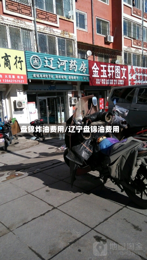 盘锦炸油费用/辽宁盘锦油费用-第2张图片
