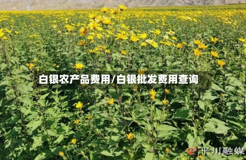 白银农产品费用/白银批发费用查询-第1张图片