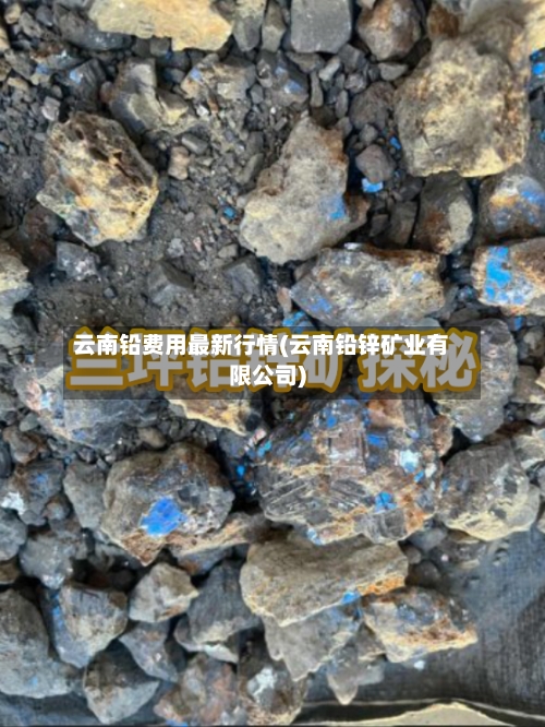 云南铅费用最新行情(云南铅锌矿业有限公司)-第2张图片